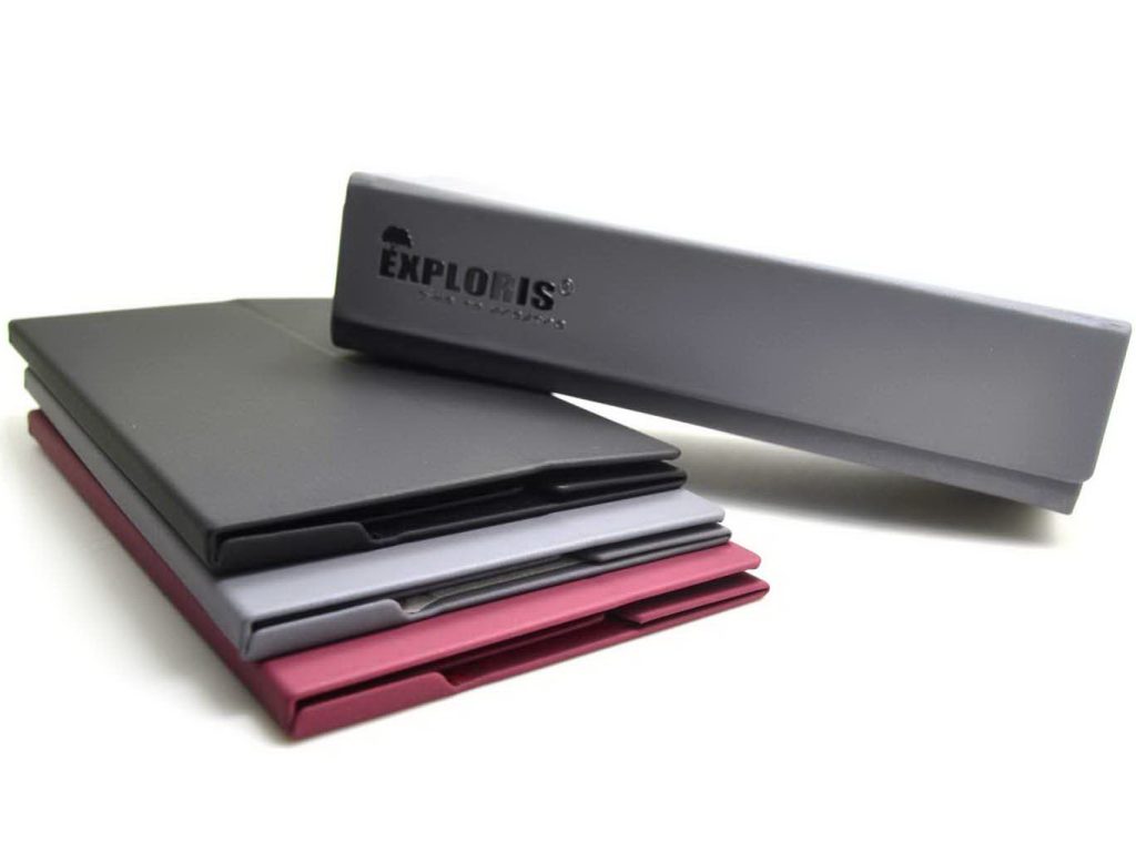 Eyewear Case XPW-8373 WINGS PATENTED